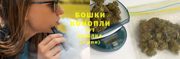 стаф Балахна