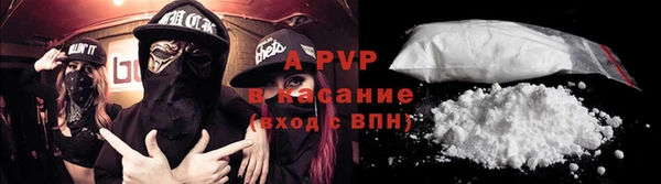 ПСИЛОЦИБИНОВЫЕ ГРИБЫ Балабаново