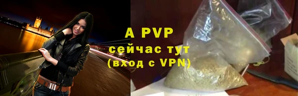 стаф Балахна