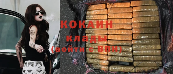 стаф Балахна