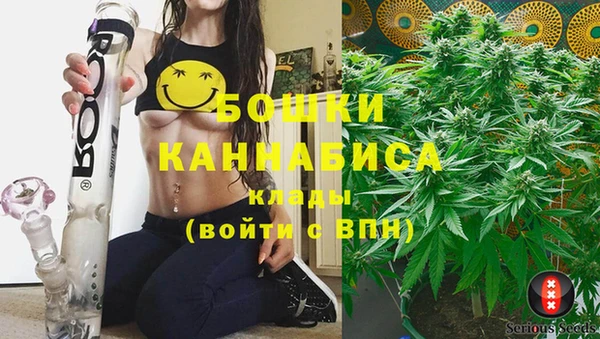 ПСИЛОЦИБИНОВЫЕ ГРИБЫ Балабаново