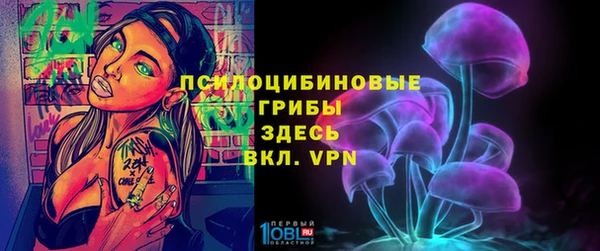 стаф Балахна