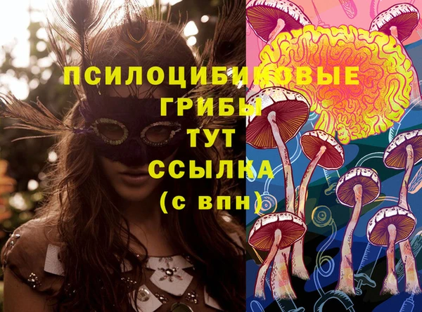 ПСИЛОЦИБИНОВЫЕ ГРИБЫ Балабаново